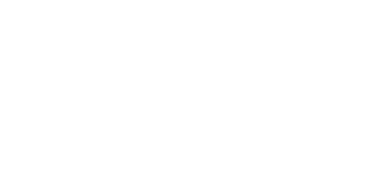 Schladerer